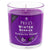 Price's Candles Winter Berries Scented Glass Jar